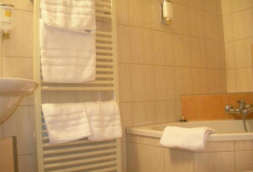 בית מלון כפרי Crystal Interlaken