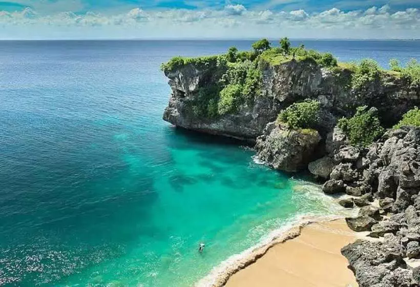Bali Bobo Hostel