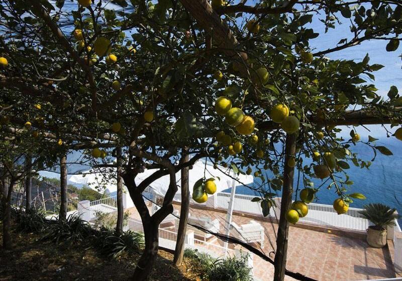 Bed and Breakfast Villa Orleans