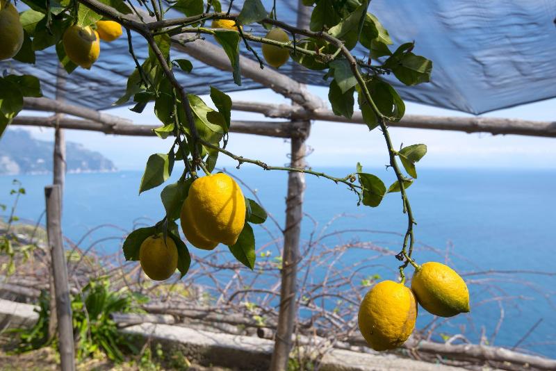 Bed and Breakfast Villa Orleans