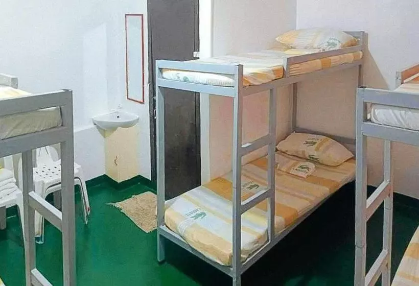 ホテル Iloilo Paraw Beach Resort