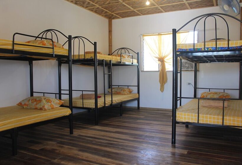 Jrm Travel And Lounge Hostel