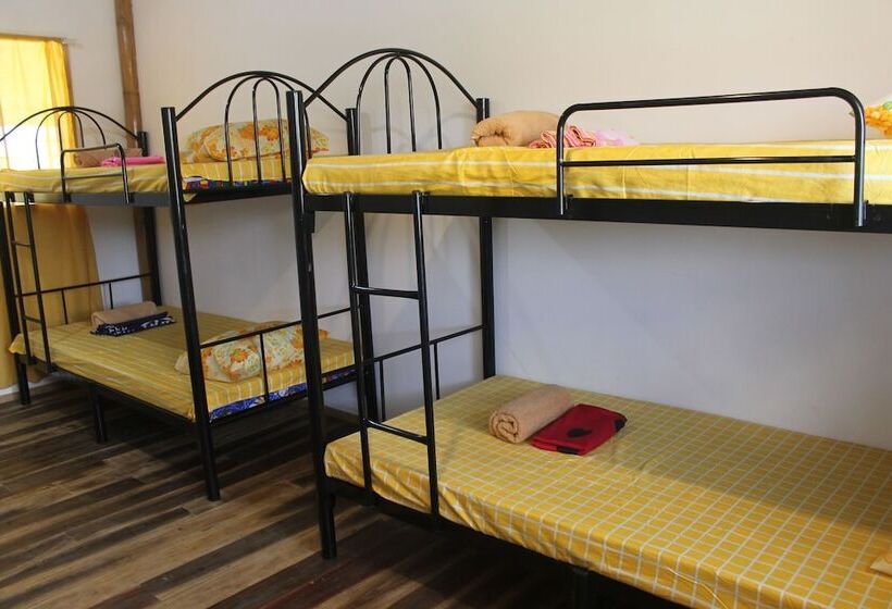 Jrm Travel And Lounge Hostel