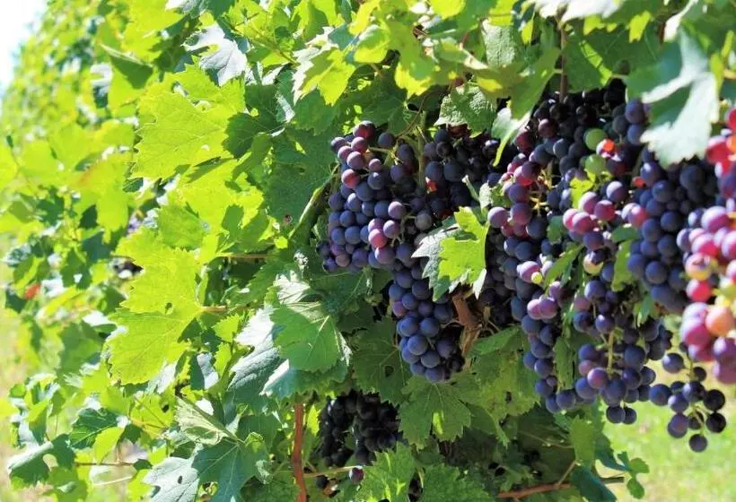 Hostelli Borgo Romantico Relais