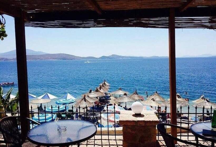 هتل Kalemi S Beachside