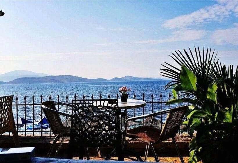 هتل Kalemi S Beachside