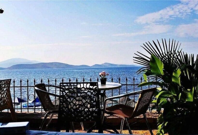 هتل Kalemi S Beachside