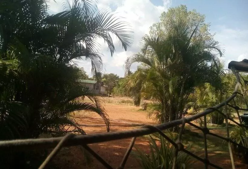 ユースホステル Sigiriya Village Home Stay