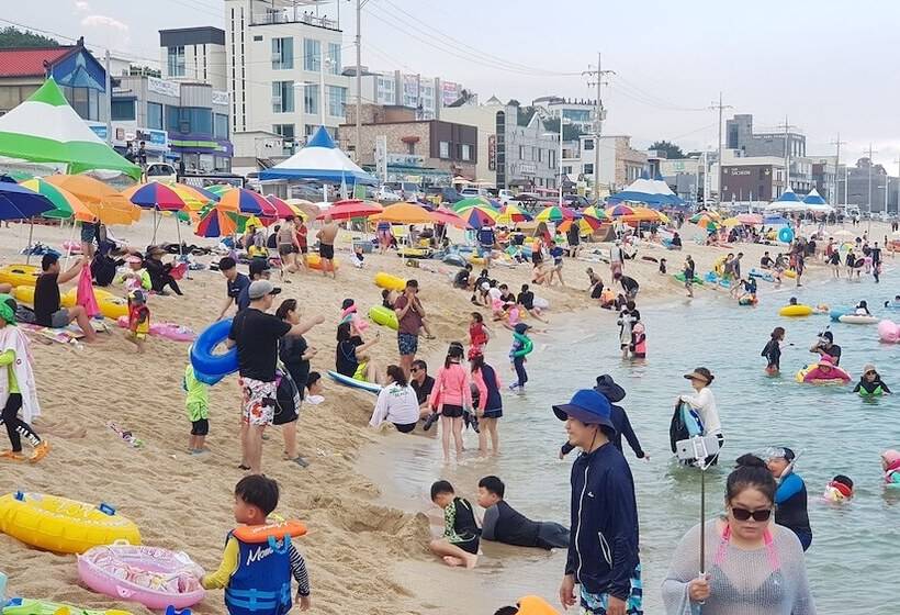 Gangneung Ocean Marina Pension   Hostel