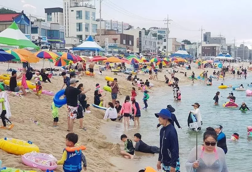 Gangneung Ocean Marina Pension   Hostel