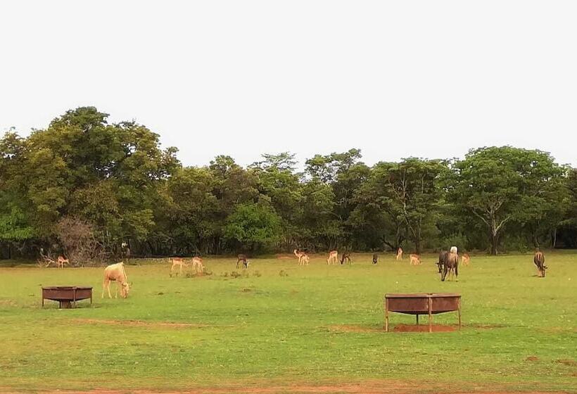 בית מלון כפרי African Explorer Private Game Lodge