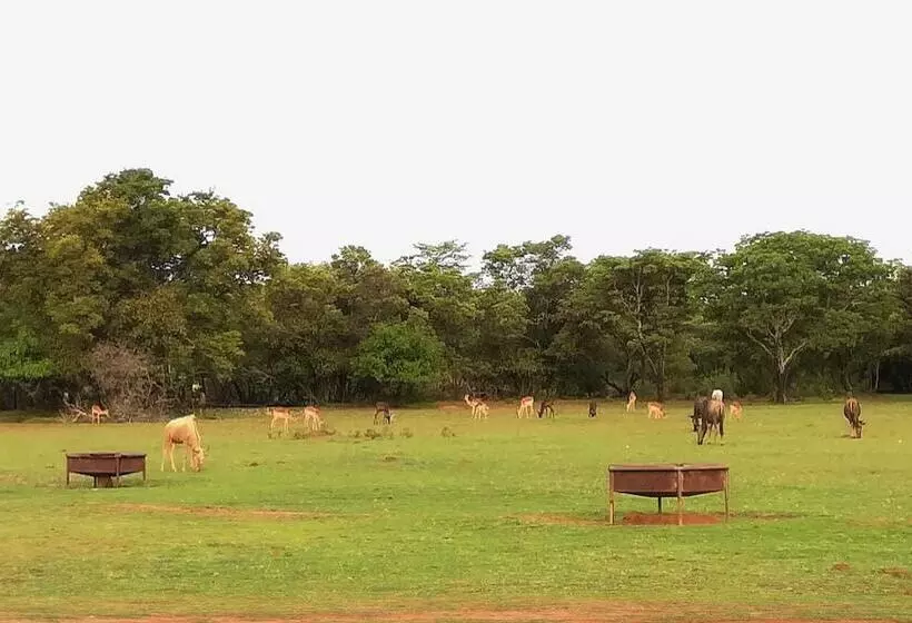 ホテル African Explorer Private Game Lodge