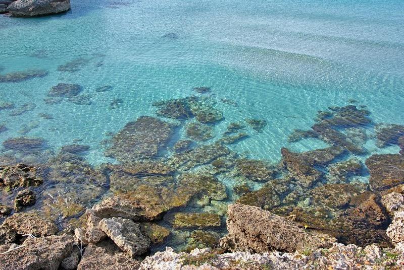 بنسيون Villa Pirreca