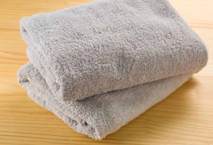 The Gemini Inn Hostel