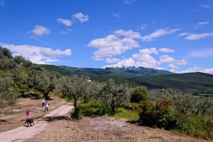 Agriturismo Monte Cologna