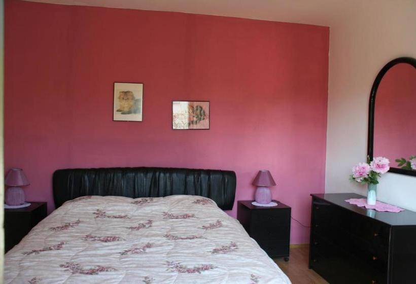 Apartments Villa Falcon