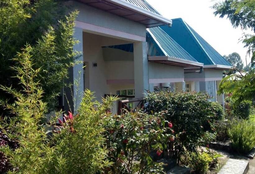 تختخواب و صبحانه East Africa Amazon Guest House