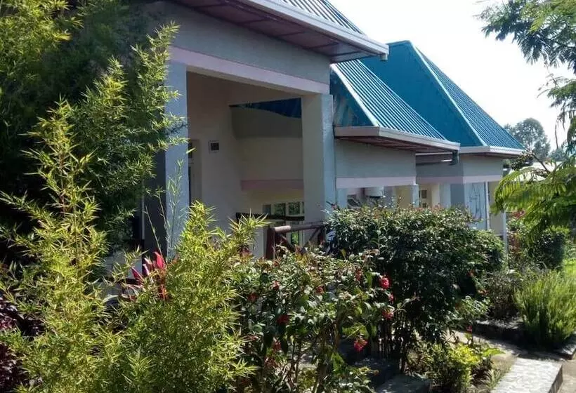 تختخواب و صبحانه East Africa Amazon Guest House
