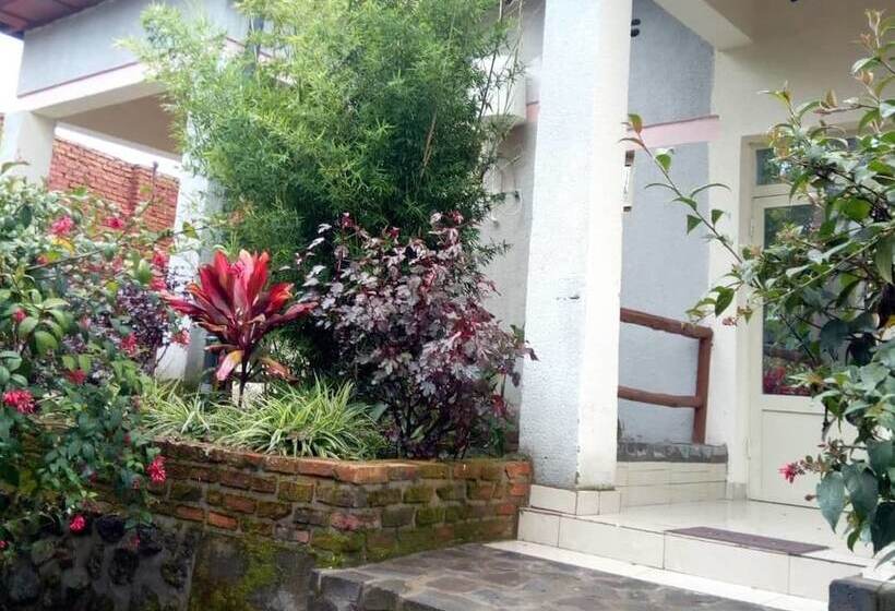 تختخواب و صبحانه East Africa Amazon Guest House