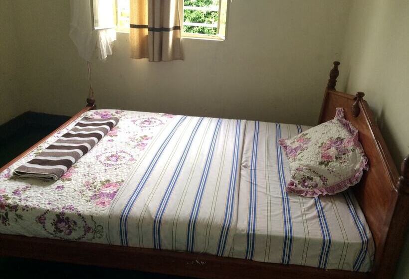 تختخواب و صبحانه East Africa Amazon Guest House