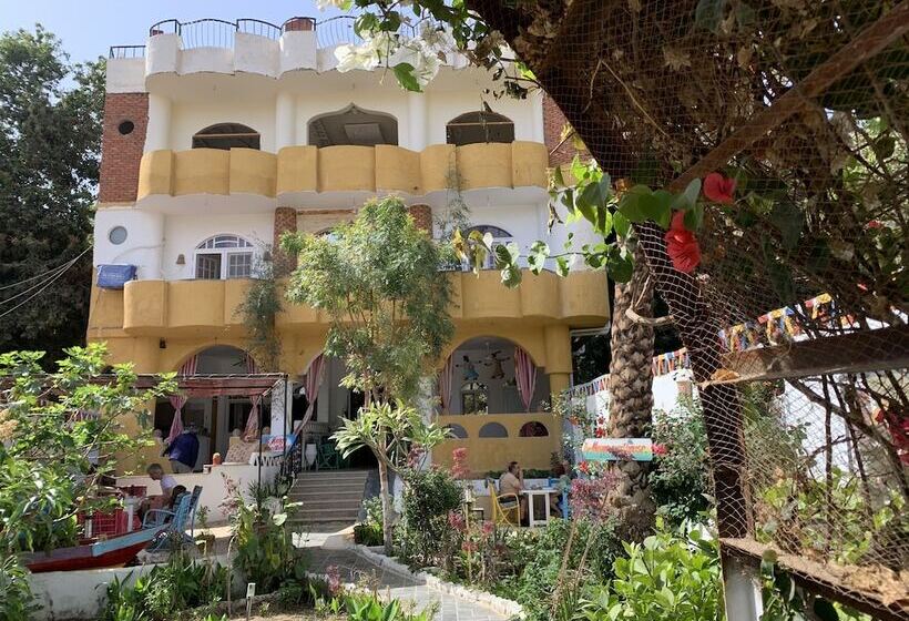 تختخواب و صبحانه The Mango Guest House