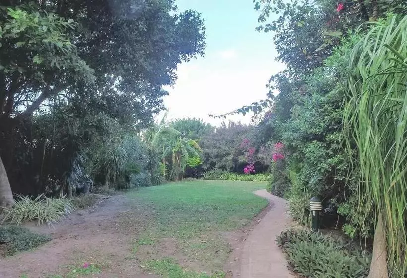 پانسیون Suzy's Place