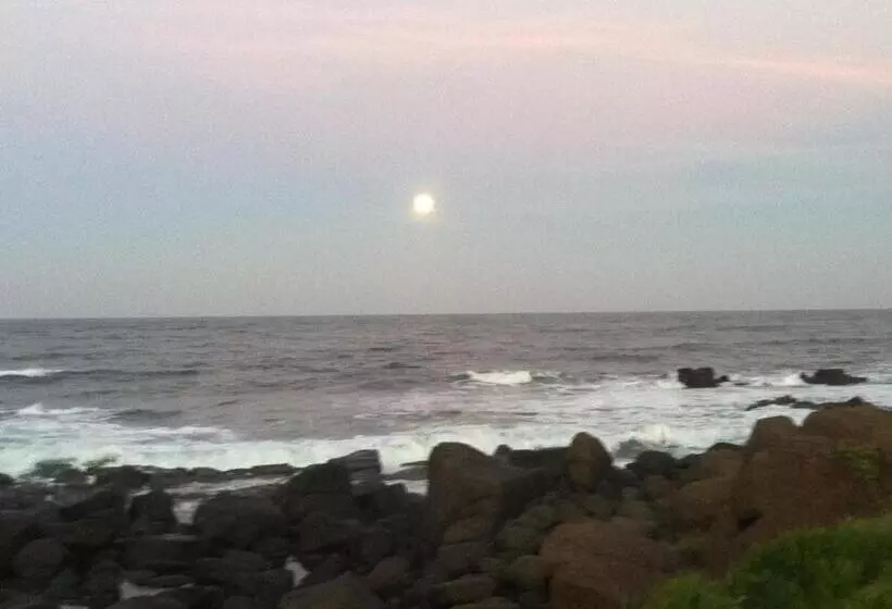 پانسیون Suzy's Place