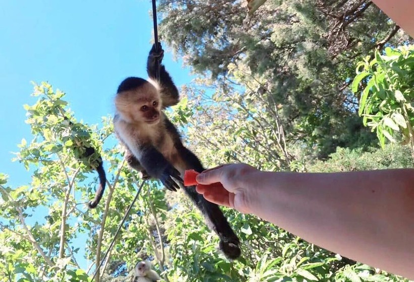 Que Tuanis Hostel Monteverde