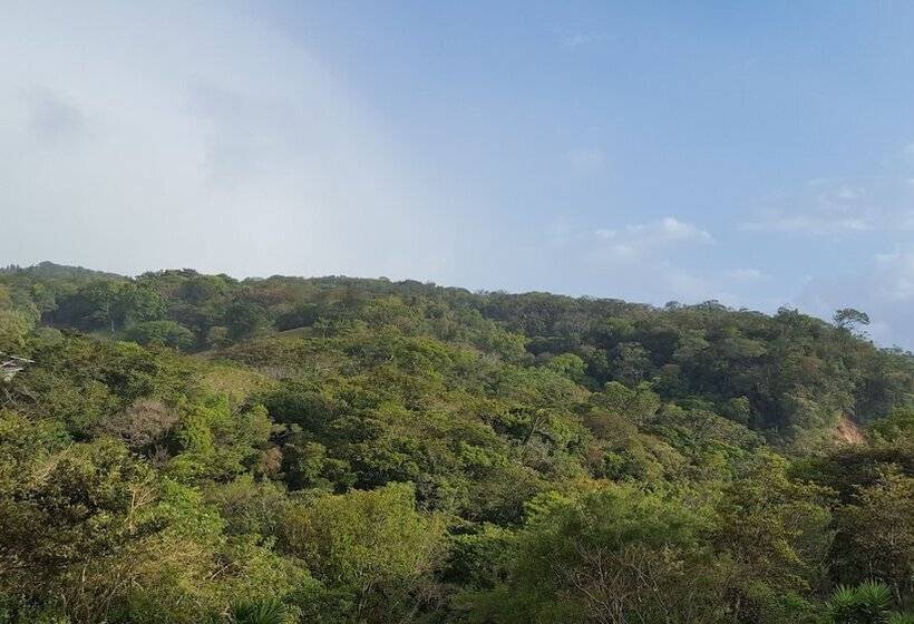 Que Tuanis Hostel Monteverde