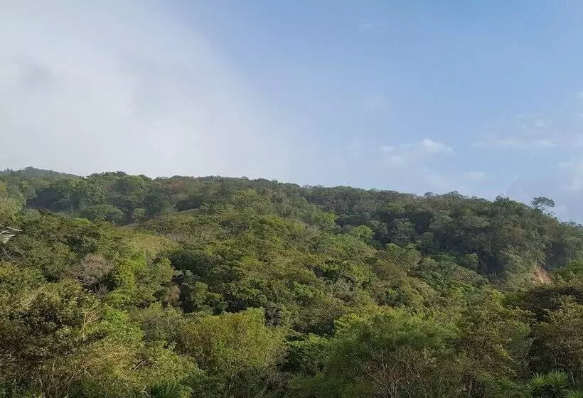 Que Tuanis Hostel Monteverde