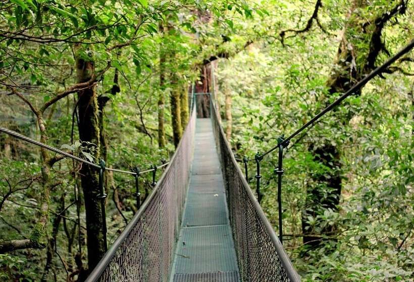 Que Tuanis Hostel Monteverde