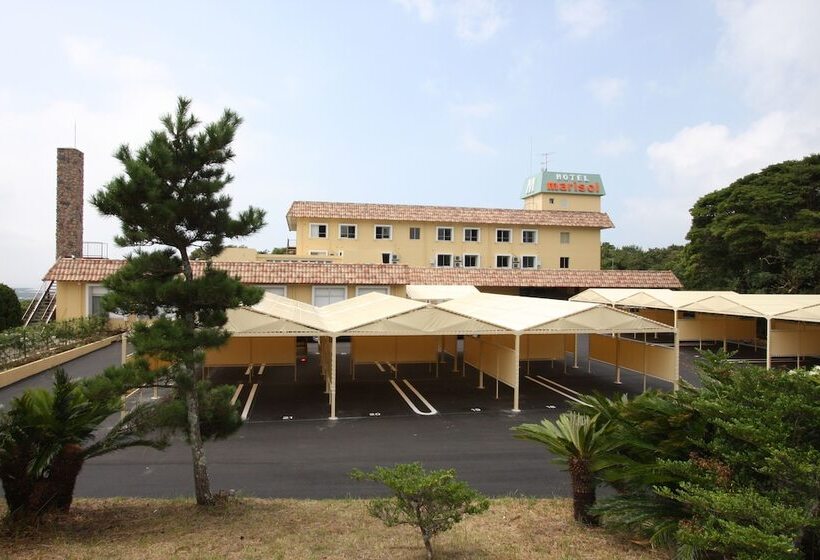 Hotel Marisol   Adults Only