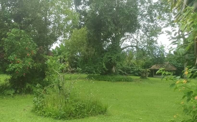 Nocleg ze śniadaniem Landih Ashram