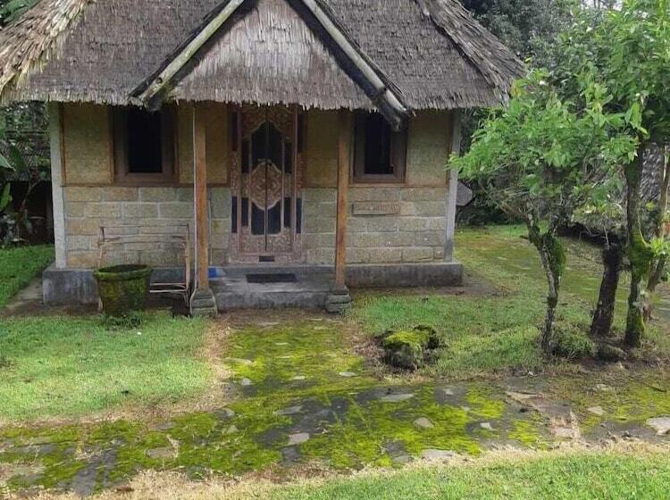 Nocleg ze śniadaniem Landih Ashram