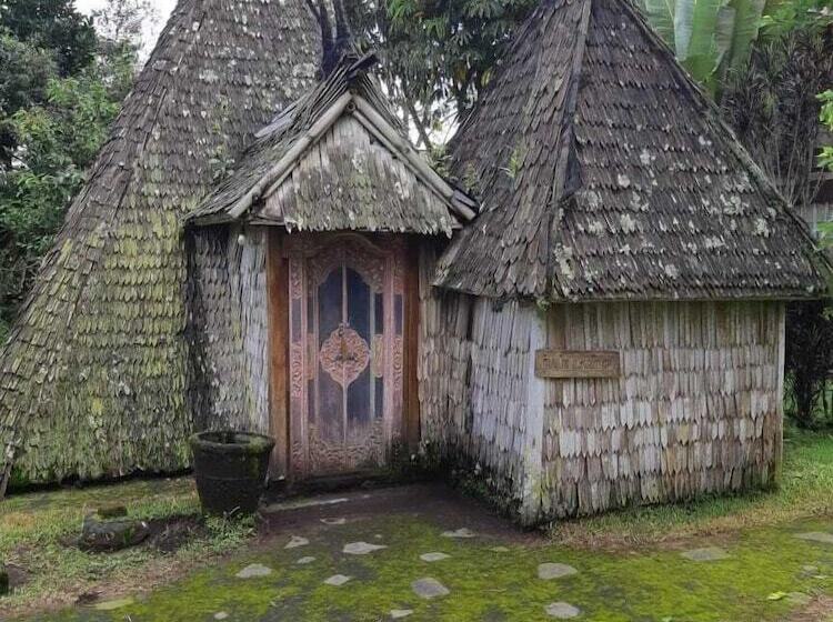 Nocleg ze śniadaniem Landih Ashram