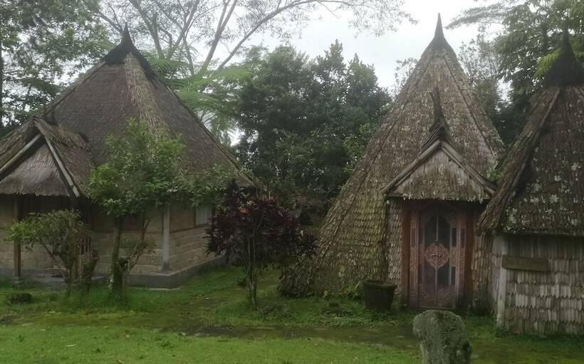 Nocleg ze śniadaniem Landih Ashram