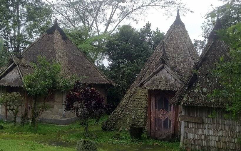 Nocleg ze śniadaniem Landih Ashram