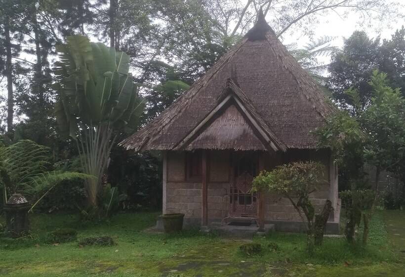 Nocleg ze śniadaniem Landih Ashram