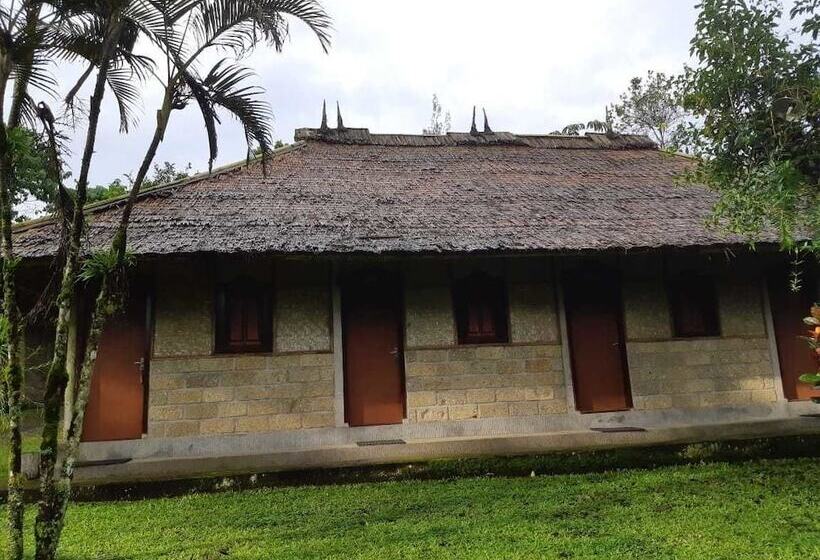 Nocleg ze śniadaniem Landih Ashram