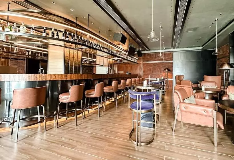 هتل Ethiopian Skylight