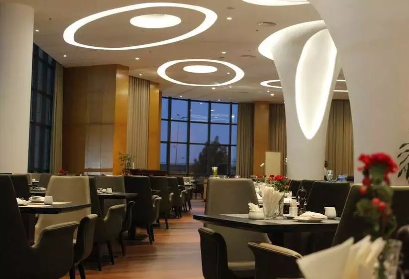 هتل Ethiopian Skylight