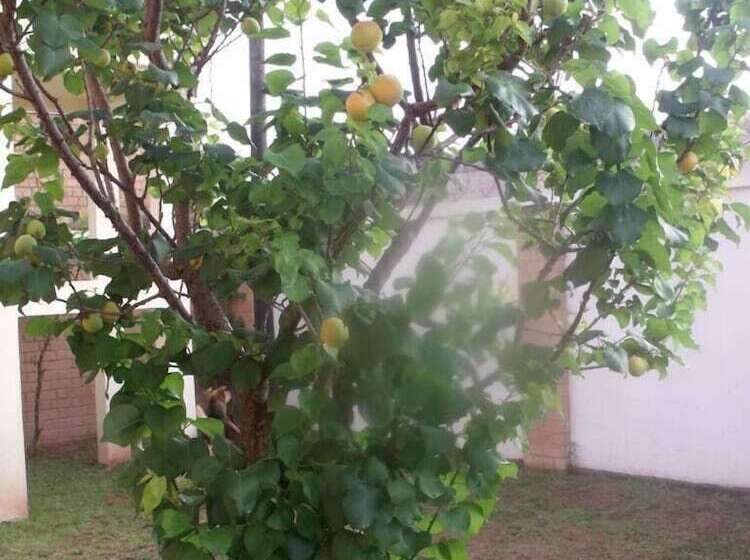 پانسیون Bg Tours