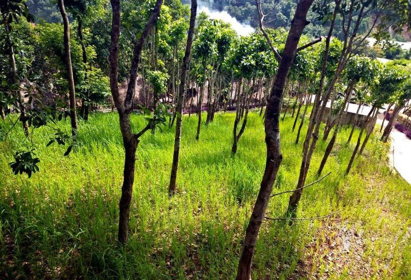 هتل Phalan Resort