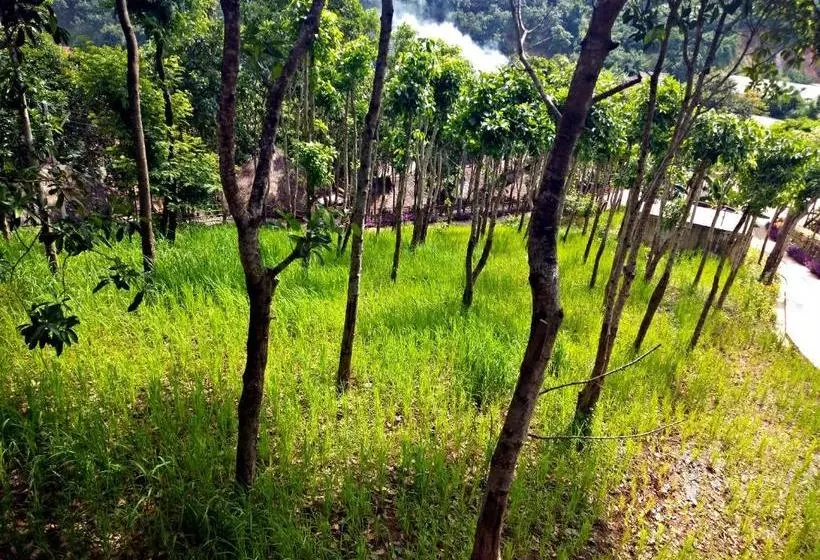 هتل Phalan Resort