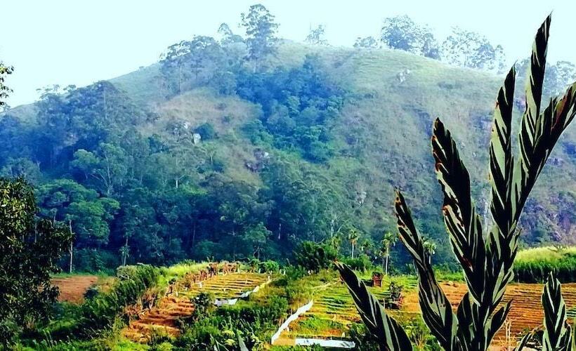 פנסיון Ella Farmer Village