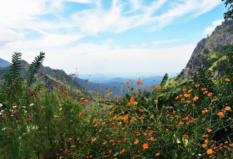 פנסיון Ella Farmer Village