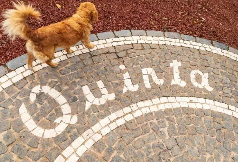 Maaseutuhotelli Quinta Do Paraizo