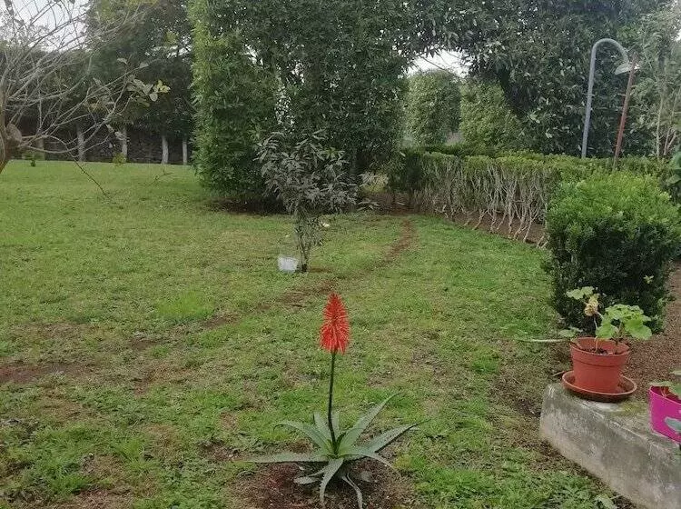 Maaseutuhotelli Quinta Do Paraizo