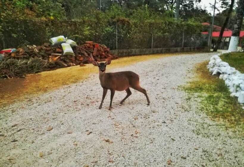 Paz En La Tormenta San Martin Hostel