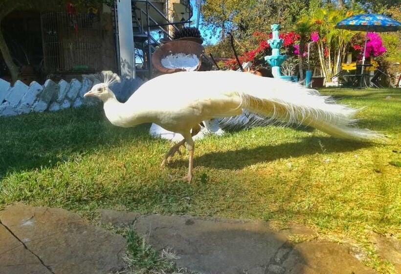 Paz En La Tormenta San Martin Hostel